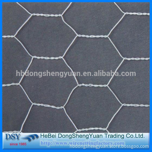 Factory direct sale cheap hexagonal wire mesh/galvanized hexagonal wire mesh/chicken mesh